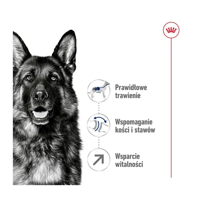Saksa lambakoer Royal Canin Maxi Adult 5+ vajadused ikoonidega
