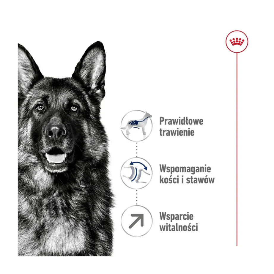 Royal Canin Maxi Adult 5+ 15 kg kuivtoit suurtele koertele kanaliha ja linnulihaga – 11