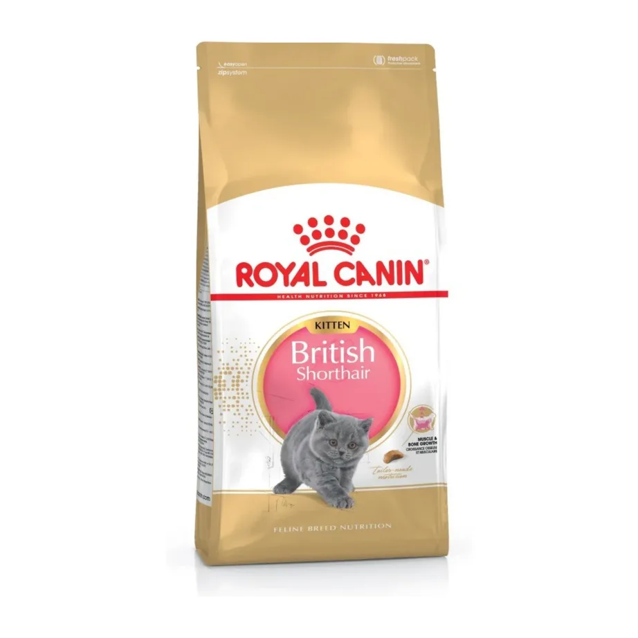Royal Canin British Shorthair Kitten 2 kg kuivtoit briti lühikarva kassipoegadele – 2