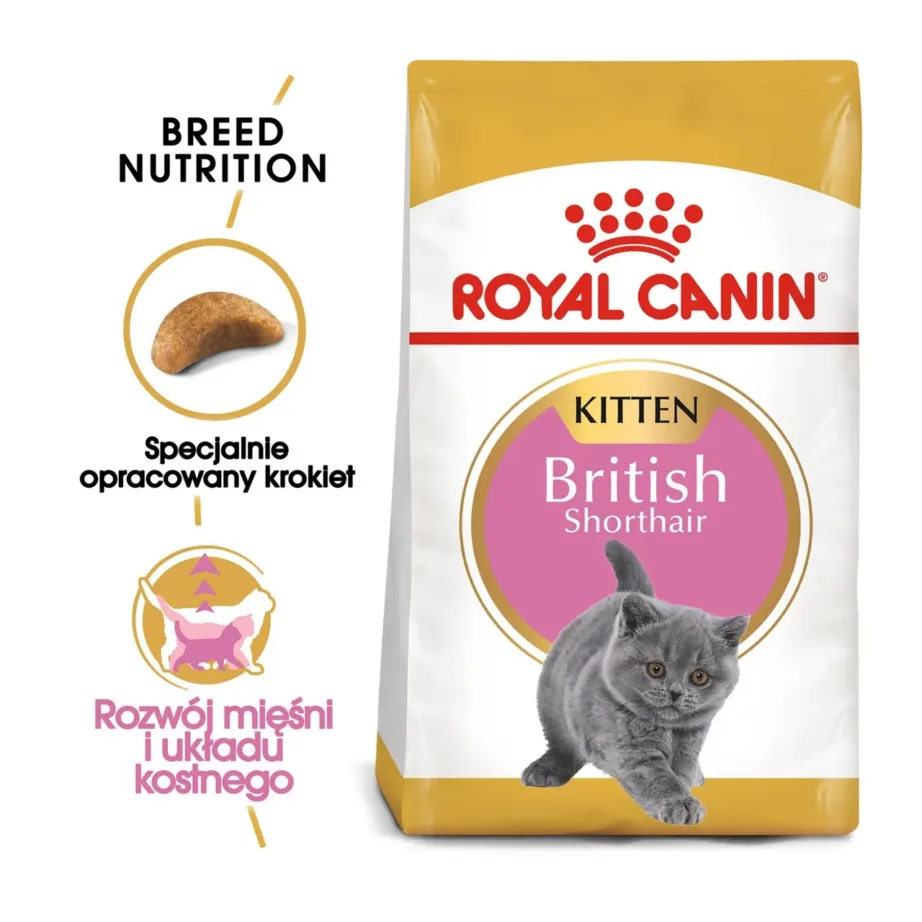 Royal Canin British Shorthair Kitten 2 kg kuivtoit briti lühikarva kassipoegadele – 3