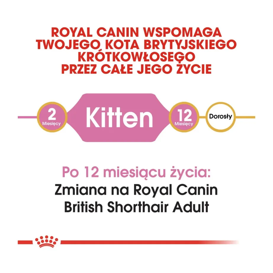 Royal Canin British Shorthair Kitten 2 kg kuivtoit briti lühikarva kassipoegadele – 5
