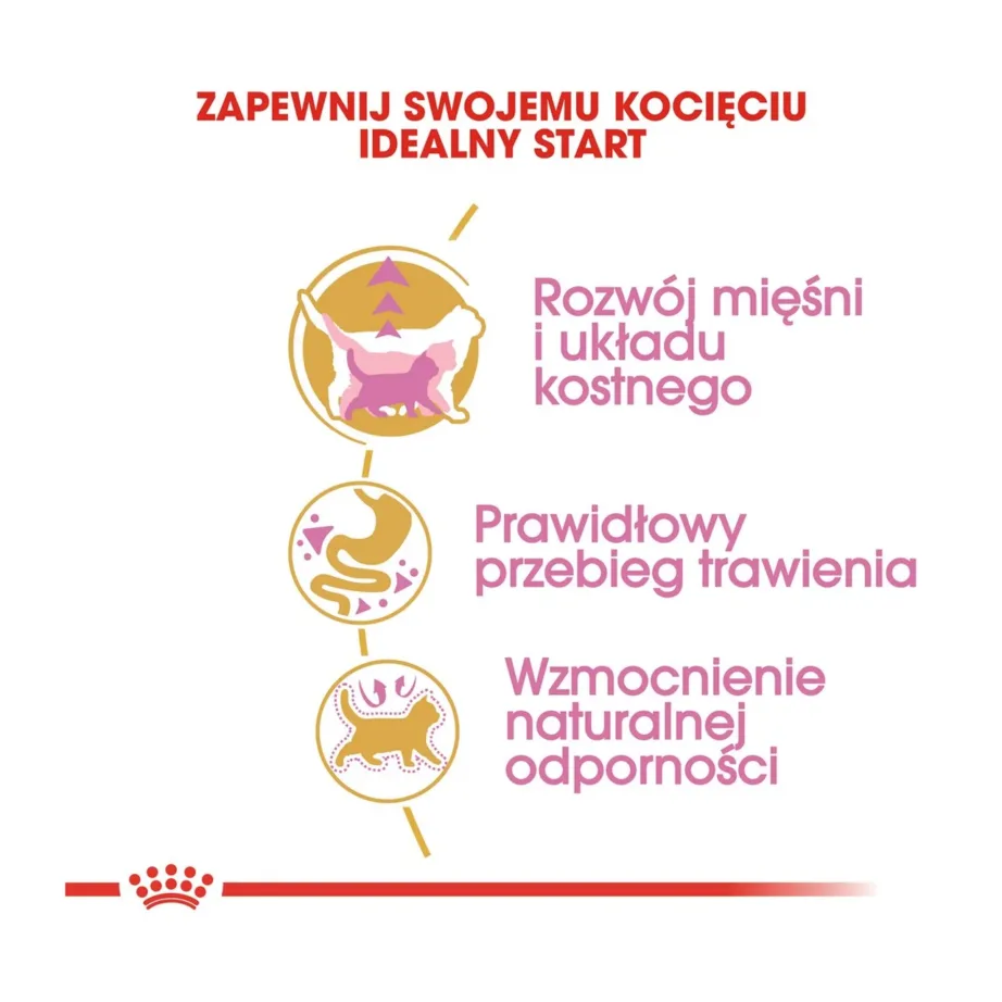 Royal Canin British Shorthair Kitten 2 kg kuivtoit briti lühikarva kassipoegadele – 6