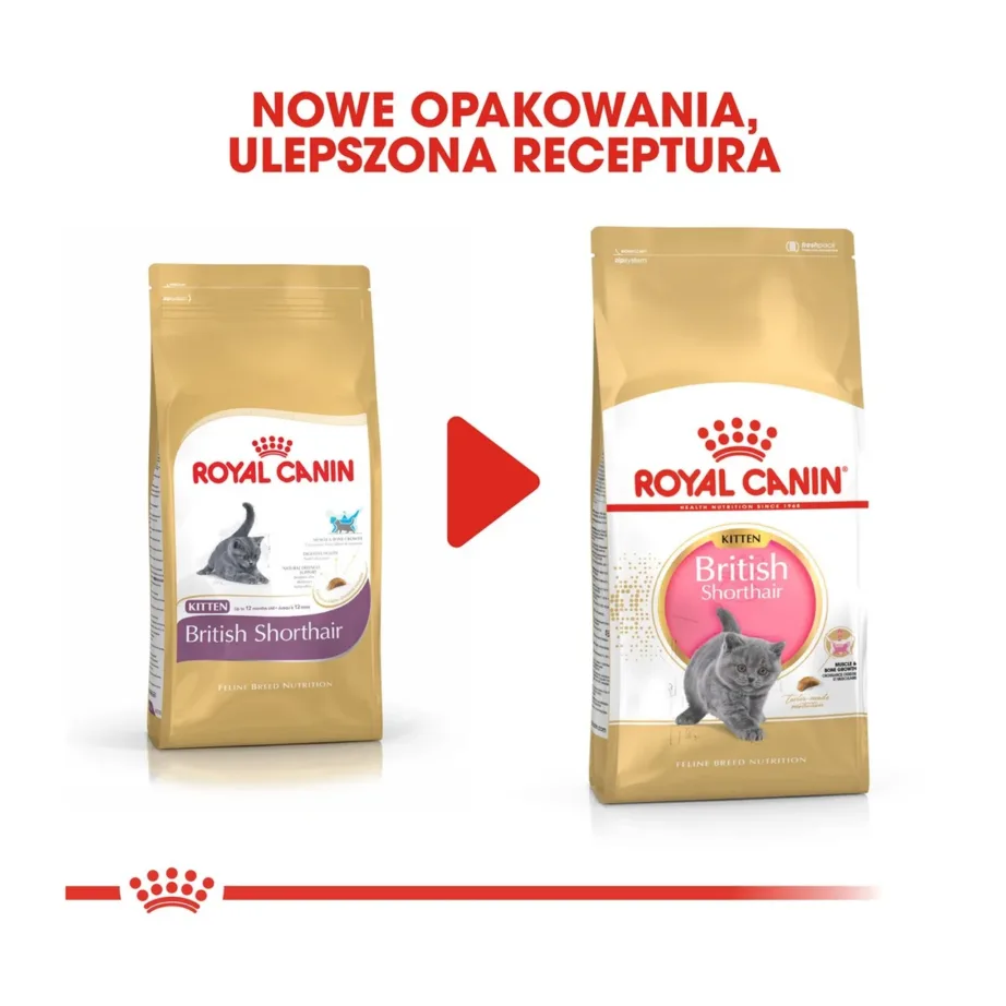 Royal Canin British Shorthair Kitten 2 kg kuivtoit briti lühikarva kassipoegadele – 7