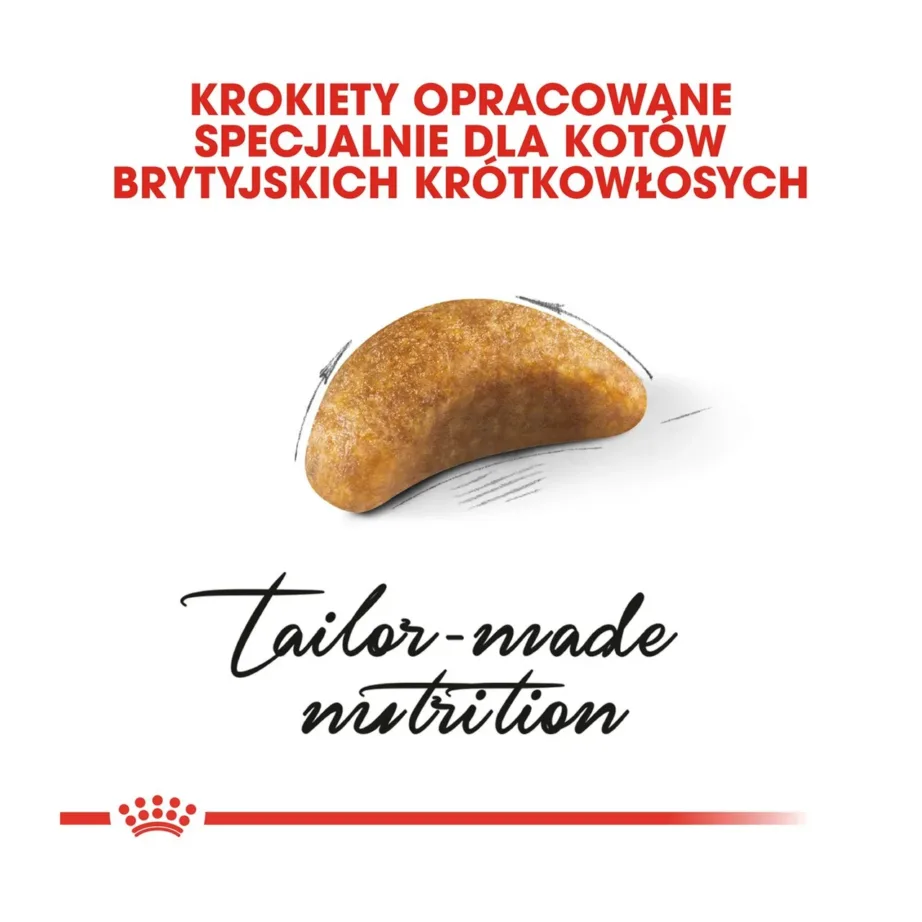 Royal Canin British Shorthair Kitten 2 kg kuivtoit briti lühikarva kassipoegadele – 8