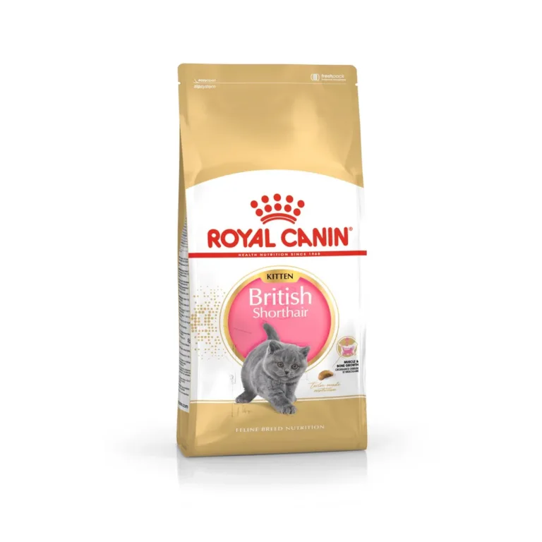 Royal Canin British Shorthair Kitten 2 kg kuivtoit