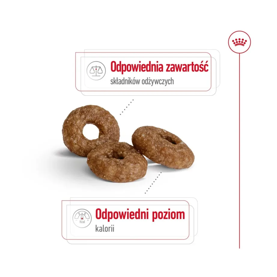 Royal Canin Mini Ageing +12 3,5 kg kuivtoit väikestele eakatele koertele, linnulihamaitseline – 2