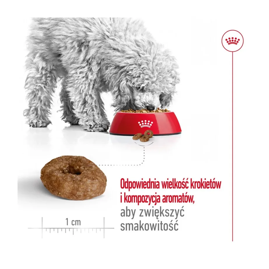 Royal Canin Mini Ageing +12 3,5 kg kuivtoit väikestele eakatele koertele, linnulihamaitseline – 4
