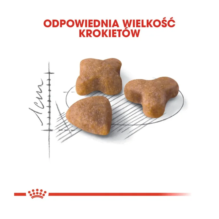 Royal Canin Sensible 33 kassikrõbinad suurus 1cm joonisel