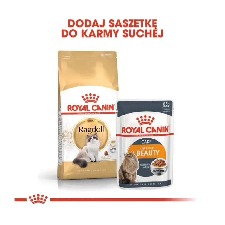 Royal Canin Ragdoll kuivtoit ja Intense Beauty kotitoit