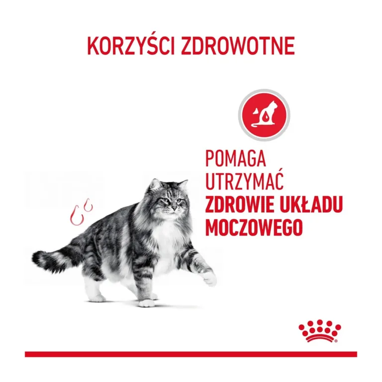 Hall kass, tervise-ikoonid ja Royal Canin Urinary Care tekst