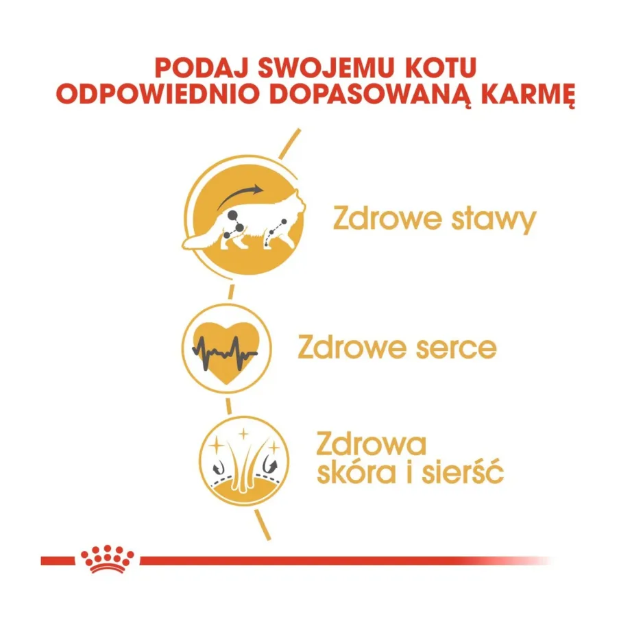 Royal Canin Feline Breed Nutrition Maine Coon Adult 10 kg kuivtoit kanaga tõukassile – 3