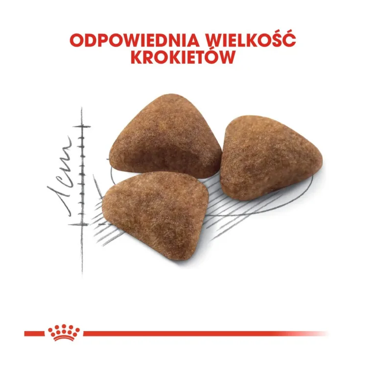 Royal Canin Indoor kassitoidu krõbinad detailis