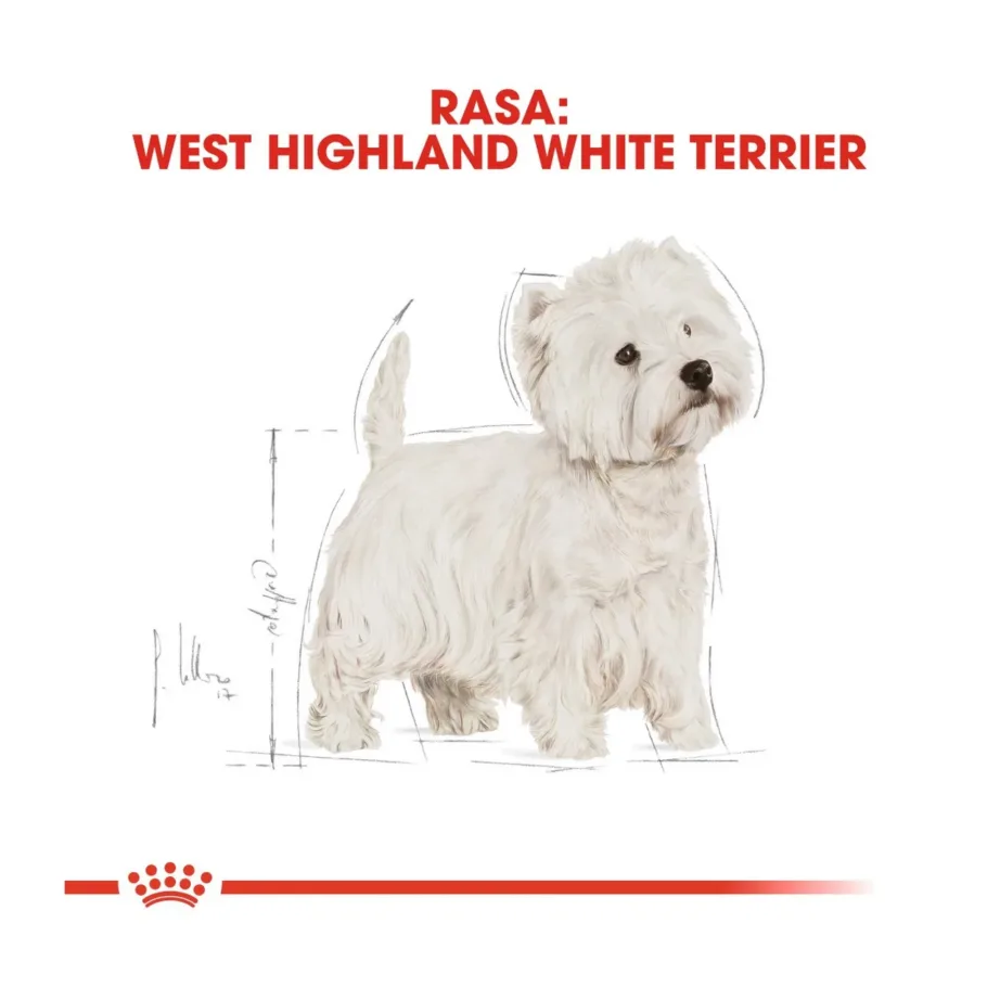 Royal Canin Breed Health Nutrition West Highland White Terrier Adult 3 kg kuivtoit kanaga täiskasvanud väikest tõugu koertele – 3