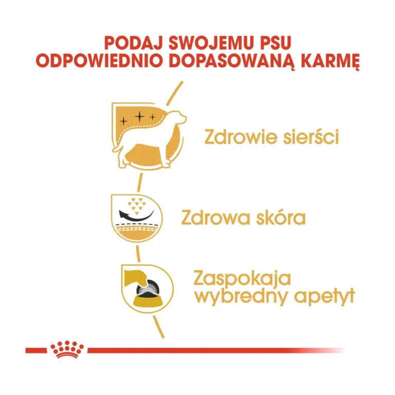 Royal Canin peamised kasutegurid westie koertele