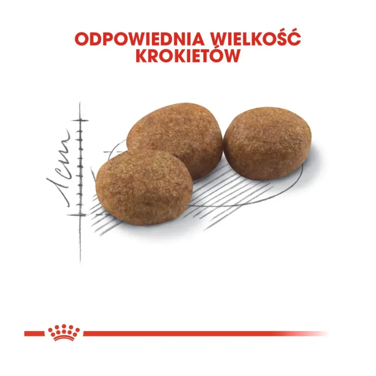 Steriliseeritud kassi kuivtoit 10 kg graanulite suurus