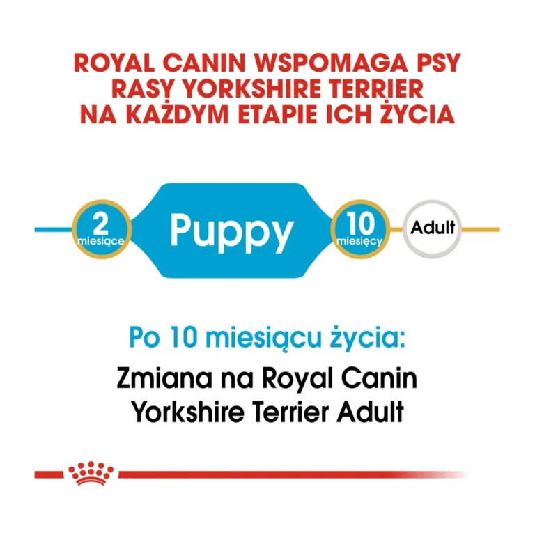 Royal Canin kutsikatoidu eluetappide tabel