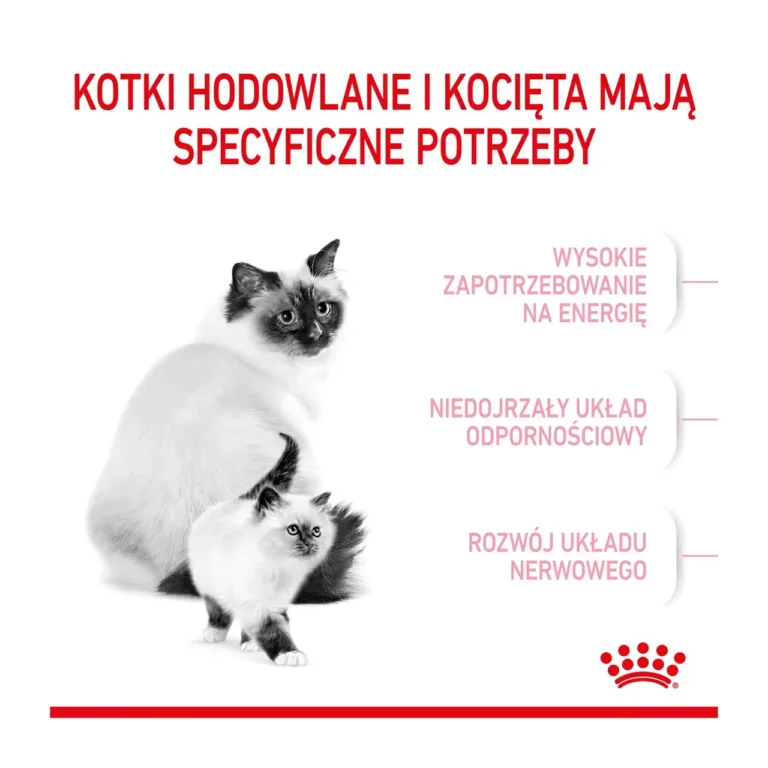 Royal Canin Babycat ellujäämiseks vajalikud omadused graafika