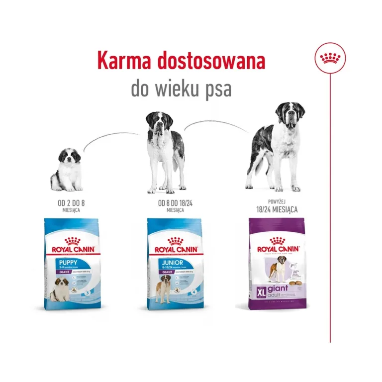 Royal Canin toidusari hiidkoertele erinevas vanuses