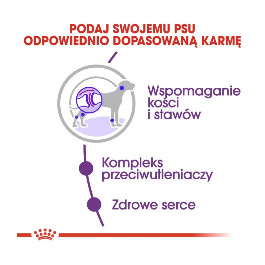 Royal Canin Giant Adult 15 kg kuivtoit täiskasvanud hiidkoertele liigeste toetuseks – 7