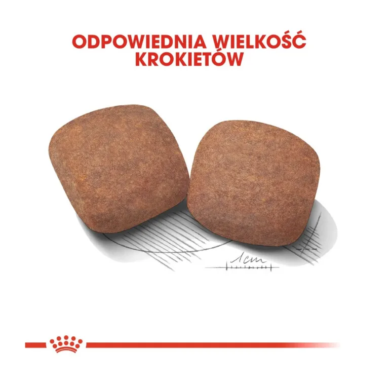 Royal Canin suured krõbinad hiidkoerale
