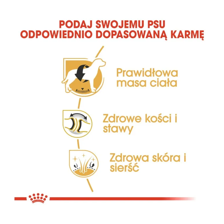Royal Canin kuivtoit – mass ja tervisesümbolid