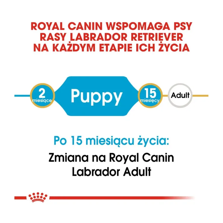 Royal Canin kutsikatoidu vanuse ja eluea skeem