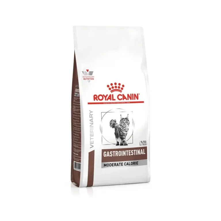 gastrointestinaalne kassitoit 400g Royal Canin pakend