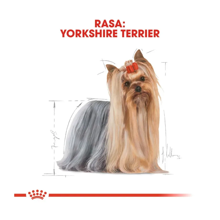 Royal Canin Breed Health Nutrition Yorkshire Terrier Adult 7,5 kg kuivtoit täiskasvanud väikest kasvu koertele karvkatte ja naha tervise toetamiseks – 3
