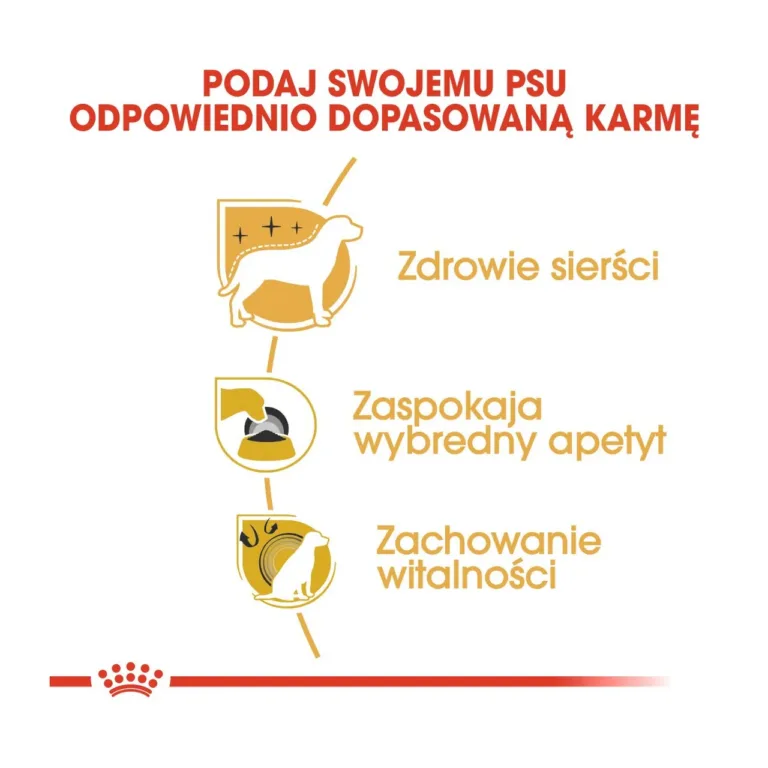 Royal Canin Yorkshire terjeri eelised ikoonidega