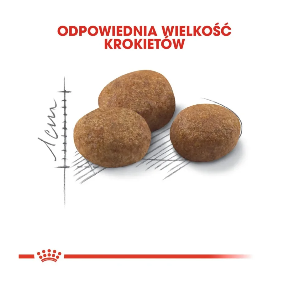 Royal Canin Sterilised 7+ 10 kg kuivtoit steriliseeritud vanemale kassile, kanamaitseline – 4