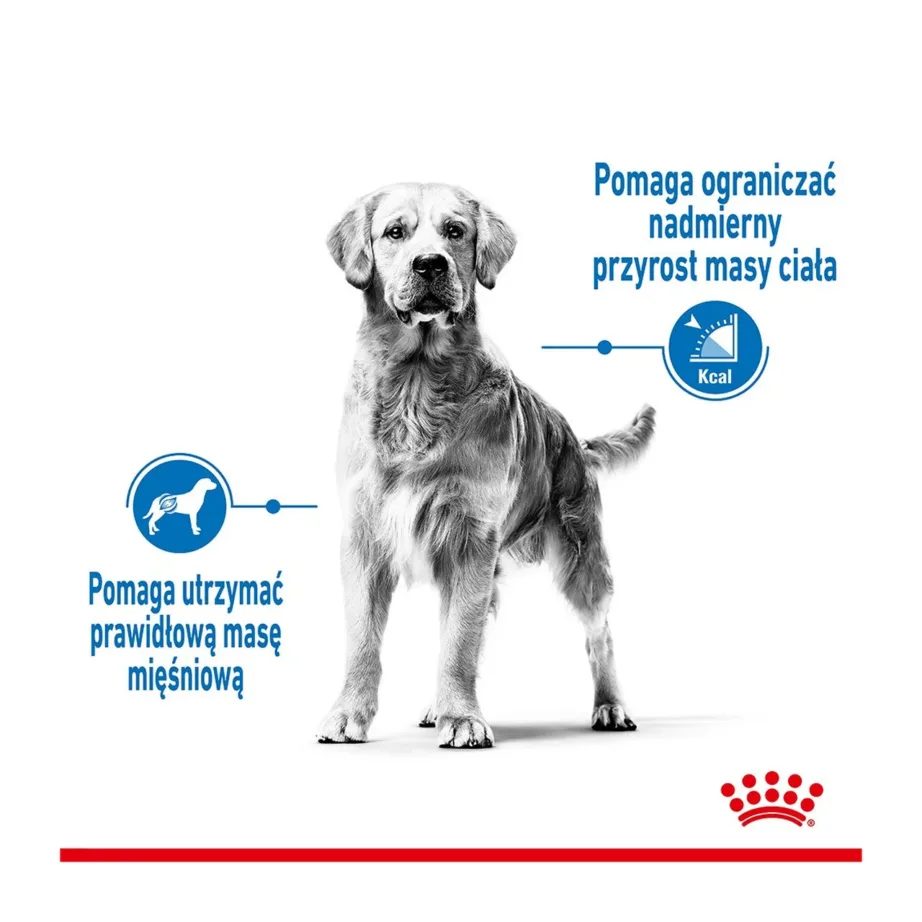 Royal Canin Medium Light Care 3 kg kuivtoit keskmist kasvu täiskasvanud ja steriliseeritud koertele kaaluhalduseks – 5