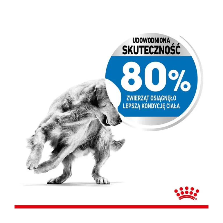 Royal Canin Medium Light Care tõestatud efektiivsus 80%