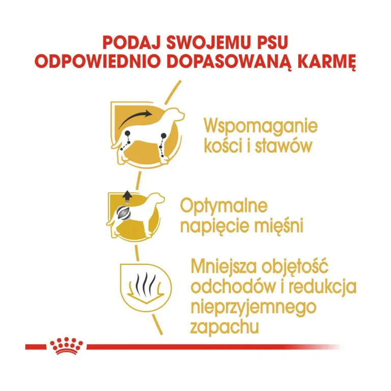 Royal Canin Dachshund toidu kasu: liigesed, lihased, väljaheide