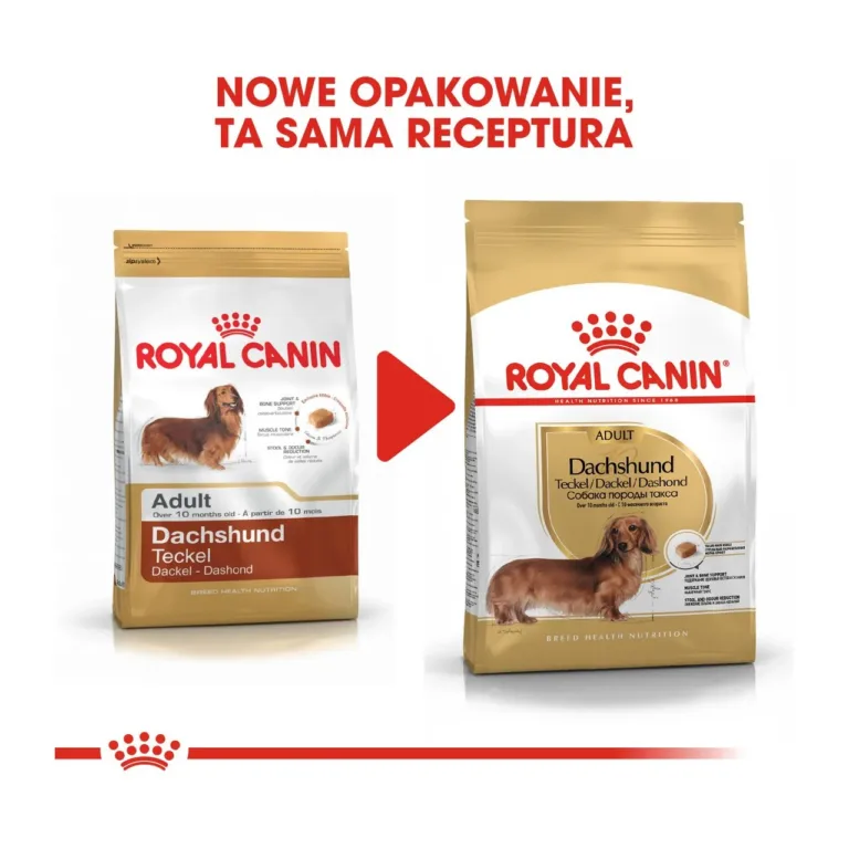 Royal Canin Dachshund pakendi uuendus võrdluspilt