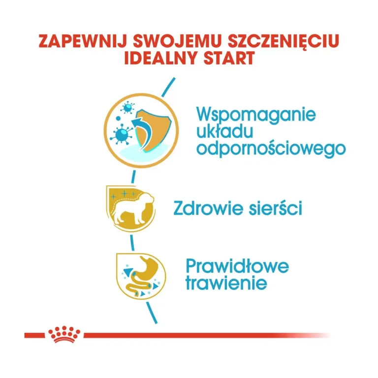 Royal Canin eelised karva ja seedimisele