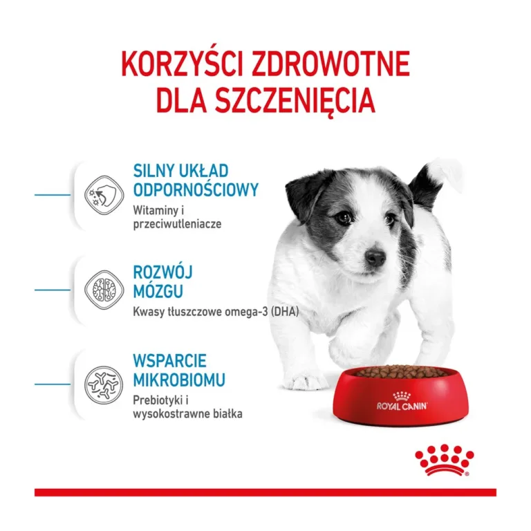 mini kutsika kuivtoit 8 kg kasu infograafik ja kutsikas