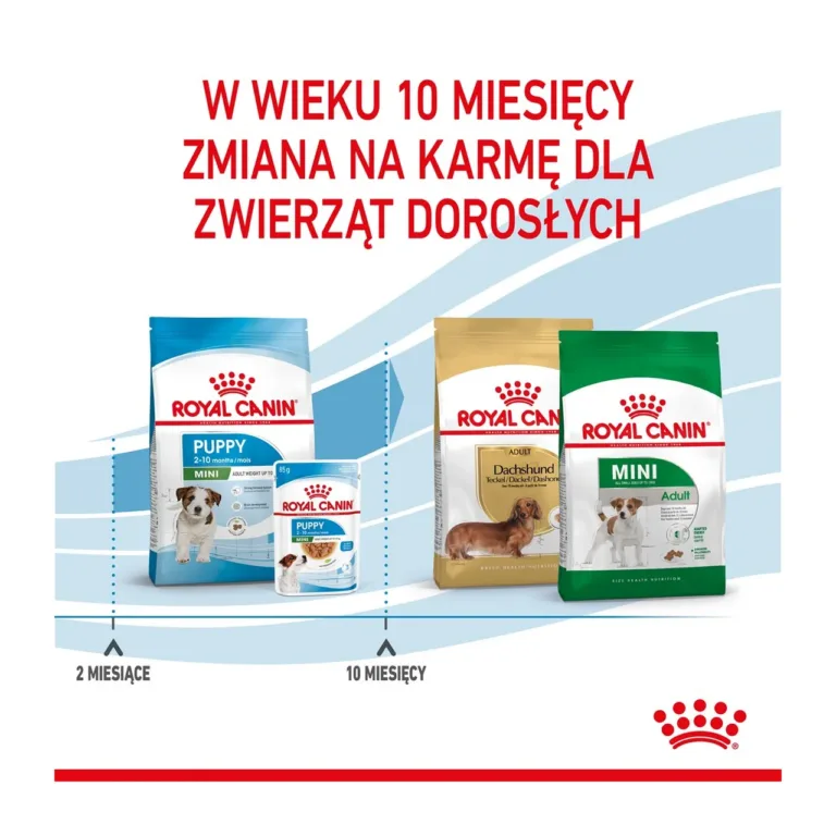 Royal Canin Puppy Mini toidu üleminek täiskasvanu toidule