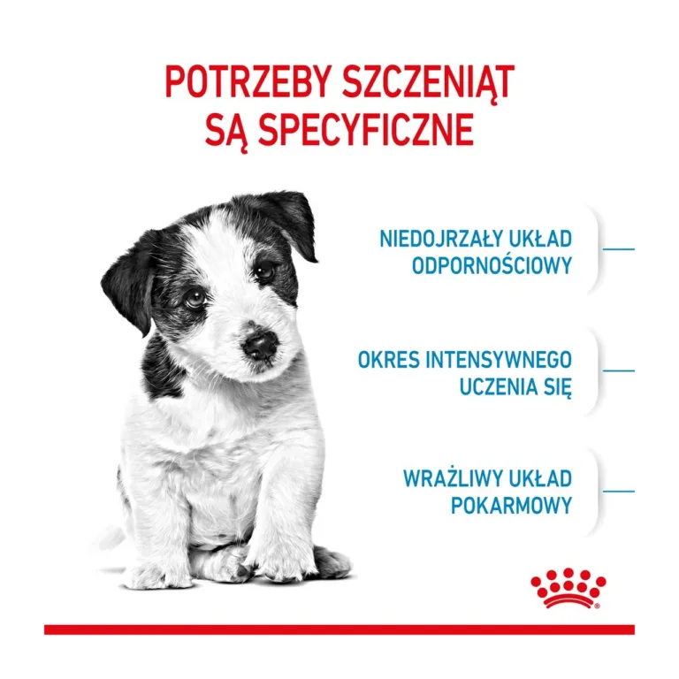 Royal Canin kutsika vajadused ja koerajoonistus