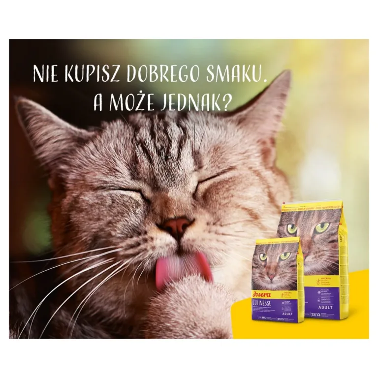 Kass sööb Josera Super Premium jõhvlilõhega kuivtoitu