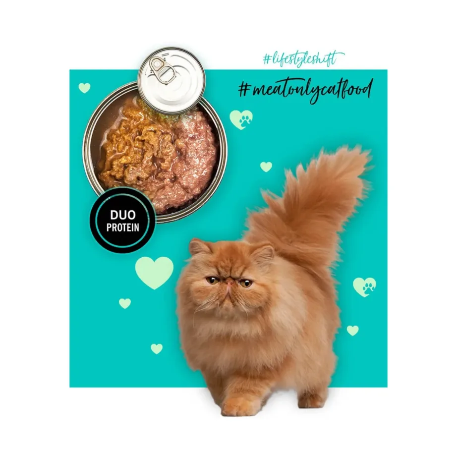 3COTY Chicken with Duck 80g täisväärtuslik gluteenivaba märgtoit täiskasvanud kassile - 5
