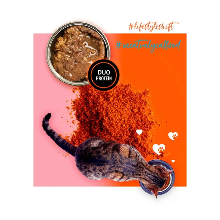 3COTY kalkuni ja krilliga märg kassitoit 80 g gluteenivaba täissööt täiskasvanud kassidele ilma kanata – 6