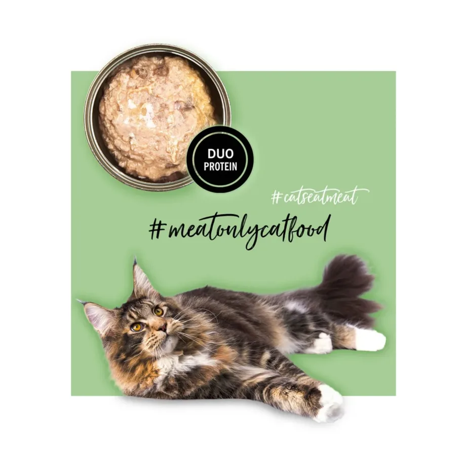 3COTY kana-hanega märgtoit kassile 80g gluteenivaba täistoit täiskasvanud kassidele – 6