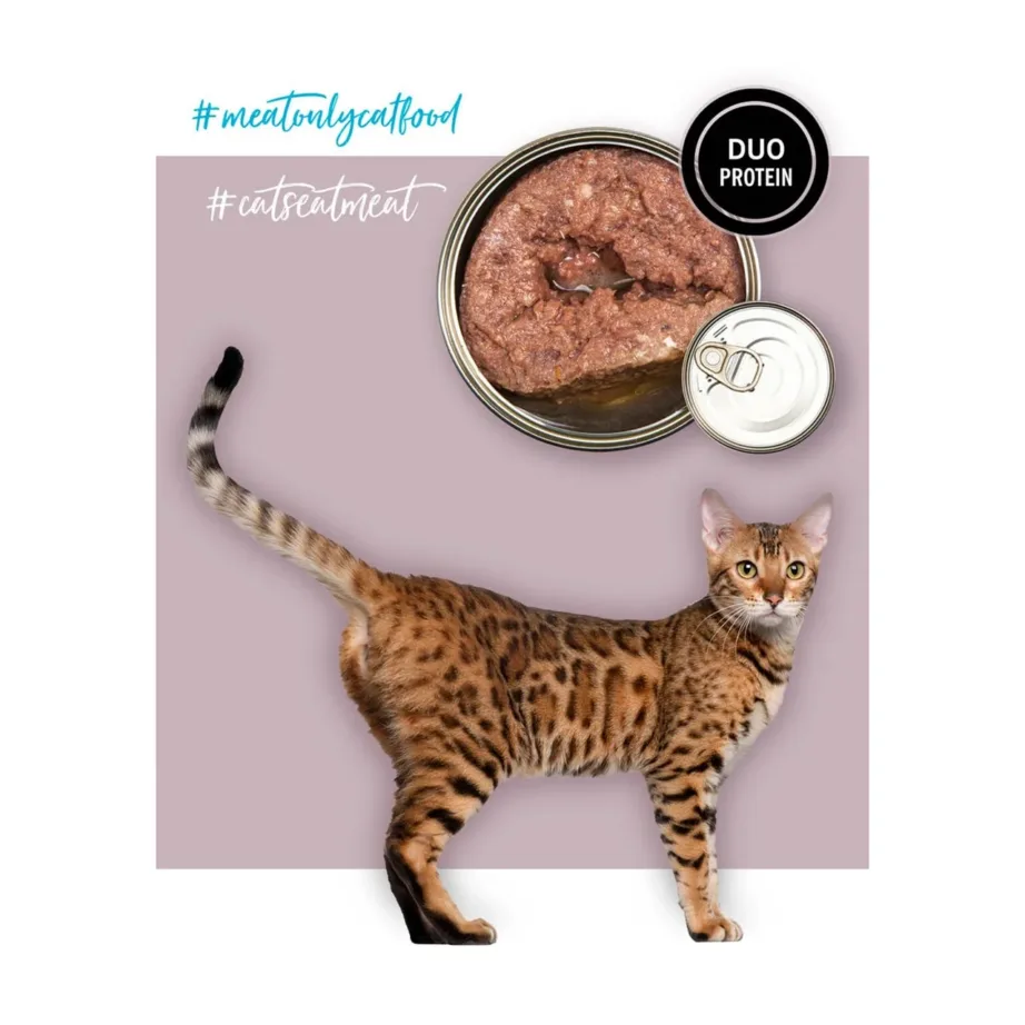 3COTY kalkuni-hanega märg kassitoit 80g täistoit täiskasvanud kassidele, teravilja- ja gluteenivaba – 6