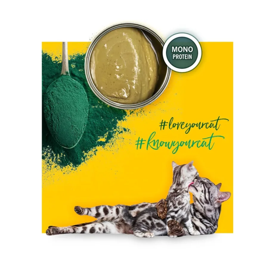 3COTY kana märgtoit spirulinaga kassipoegadele ja imetavatele kassidele, 80 g – 6