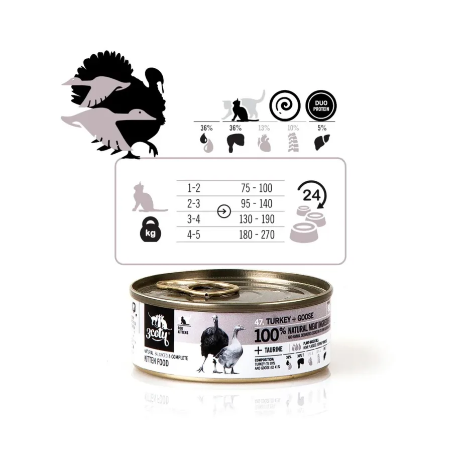 3COTY kalkuni-hanega märg kassitoit kassipoegadele 80g gluteenivaba – 6