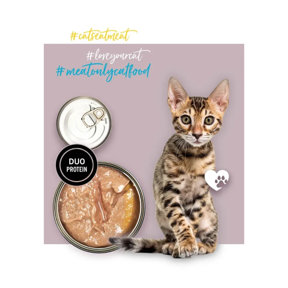 3COTY kalkuni-hanega märg kassitoit kassipoegadele 80g gluteenivaba – 8