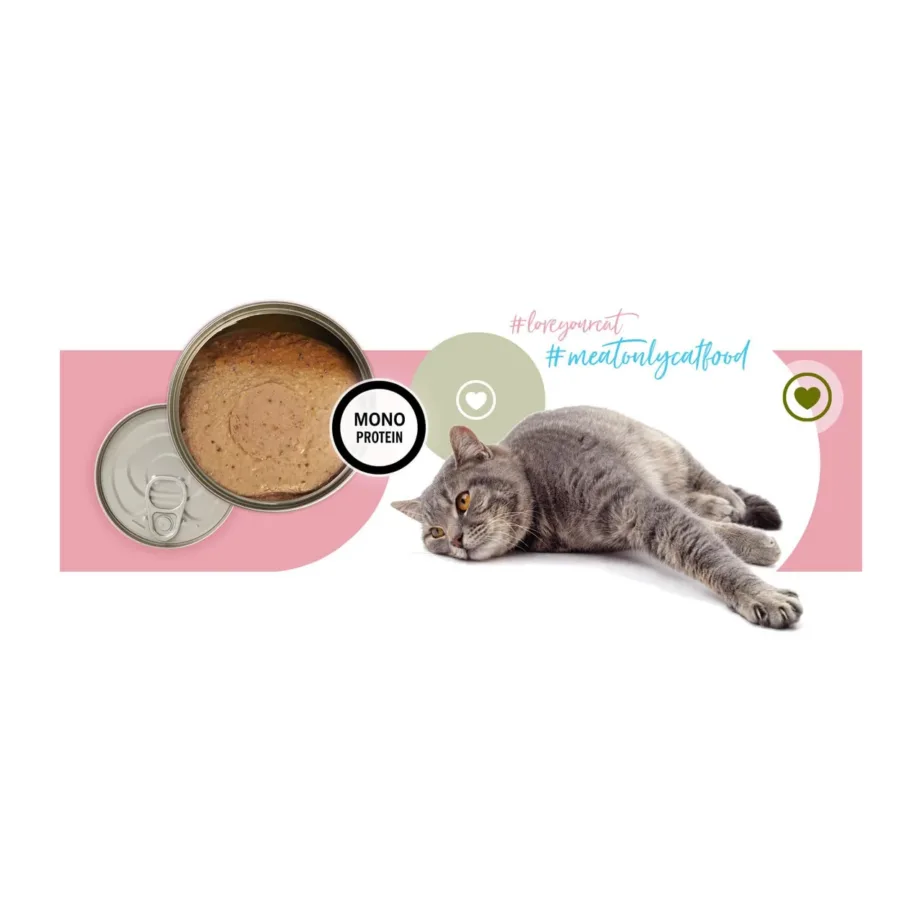 3coty Turkey Senior 80 g gluteenivaba kanavaba märgtoit eakale kassile – 7