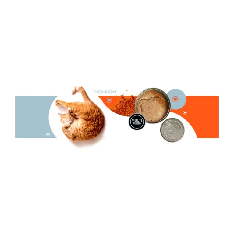 oranž kass koos 3coty märgtoidu ja krilliga