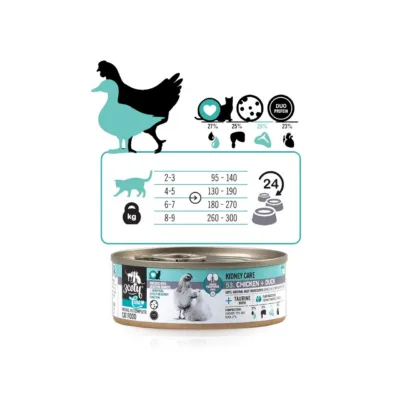 3coty kassitoit Chicken Duck infograafika