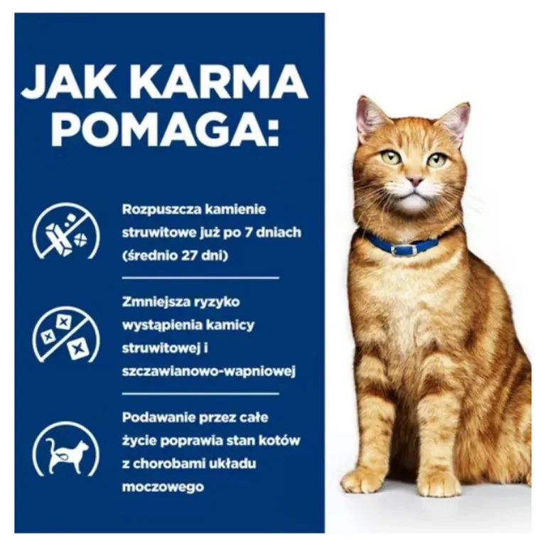 Kasside uriinihaiguste kuivtoit kana 3kg toote omadused kassiga